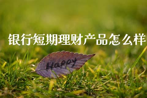银行短期理财产品怎么样_https://wap.jnlaobingbanjia.com_证券公告_第1张