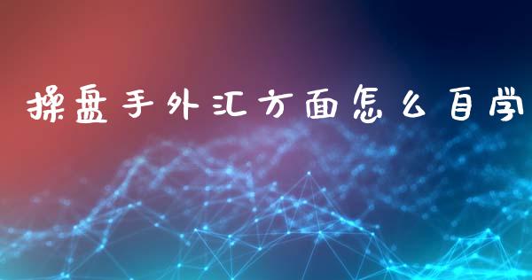 操盘手外汇方面怎么自学_https://wap.jnlaobingbanjia.com_金融理财_第1张