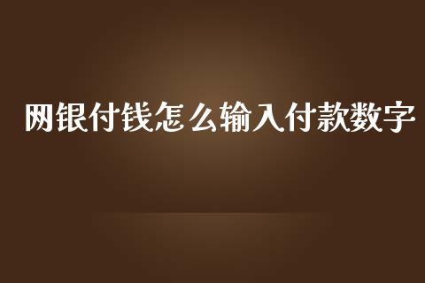 网银付钱怎么输入付款数字_https://wap.jnlaobingbanjia.com_基金分析_第1张