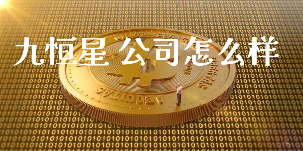 九恒星 公司怎么样_https://wap.jnlaobingbanjia.com_股市行情_第1张