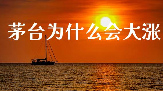 茅台为什么会大涨_https://wap.jnlaobingbanjia.com_基金分析_第1张