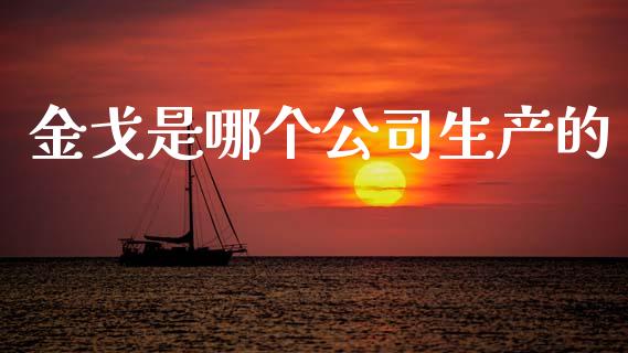 金戈是哪个公司生产的_https://wap.jnlaobingbanjia.com_基金分析_第1张