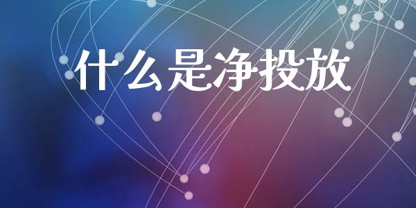 什么是净投放_https://wap.jnlaobingbanjia.com_基金分析_第1张