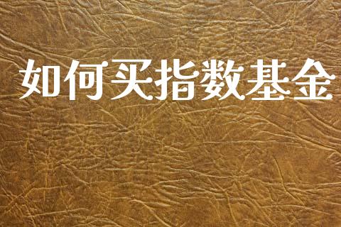 如何买指数基金_https://wap.jnlaobingbanjia.com_股市行情_第1张