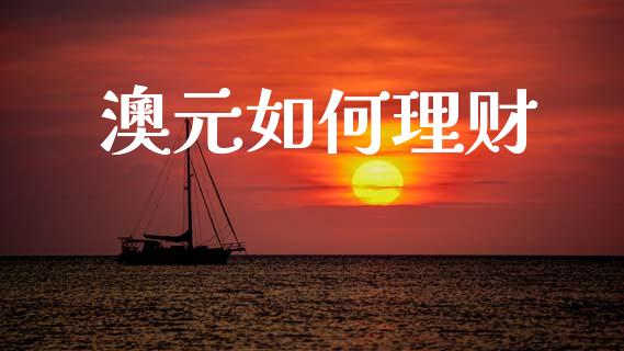 澳元如何理财_https://wap.jnlaobingbanjia.com_财务管理_第1张