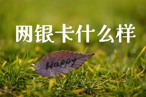 网银卡什么样_https://wap.jnlaobingbanjia.com_基金分析_第1张