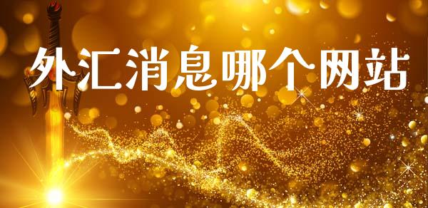 外汇消息哪个网站_https://wap.jnlaobingbanjia.com_财务管理_第1张