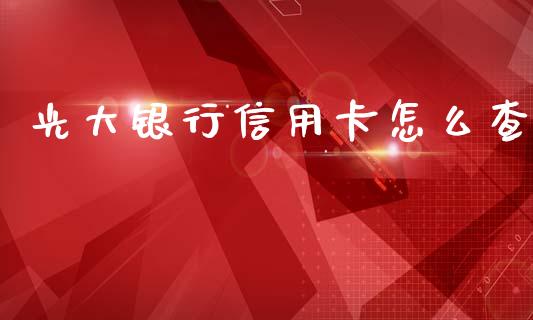 光大银行信用卡怎么查_https://wap.jnlaobingbanjia.com_金融理财_第1张