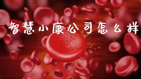 智慧小康公司怎么样_https://wap.jnlaobingbanjia.com_金融理财_第1张