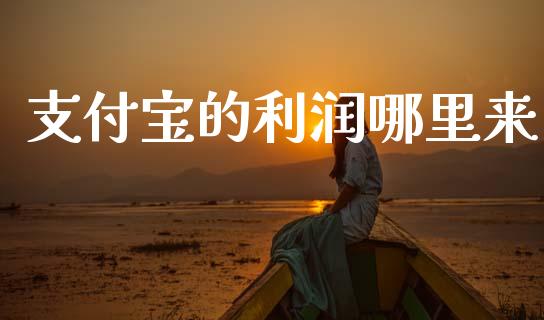 支付宝的利润哪里来_https://wap.jnlaobingbanjia.com_金融理财_第1张