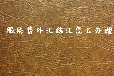 服务费外汇结汇怎么办理_https://wap.jnlaobingbanjia.com_基金分析_第1张