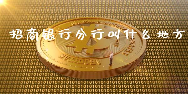 招商银行分行叫什么地方_https://wap.jnlaobingbanjia.com_股市行情_第1张