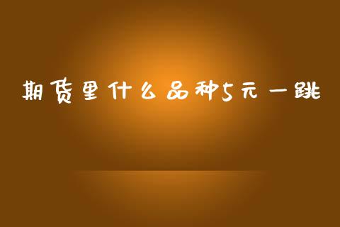期货里什么品种5元一跳_https://wap.jnlaobingbanjia.com_金融理财_第1张