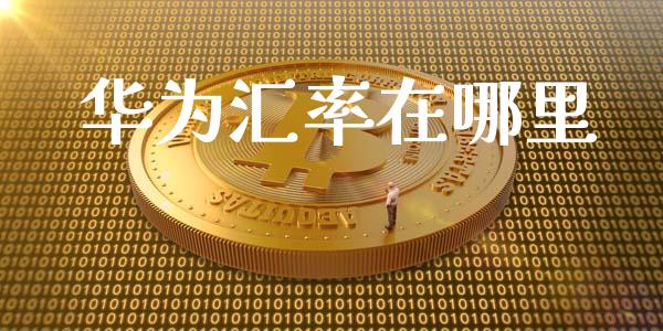 华为汇率在哪里_https://wap.jnlaobingbanjia.com_财务管理_第1张