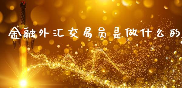 金融外汇交易员是做什么的_https://wap.jnlaobingbanjia.com_财务管理_第1张