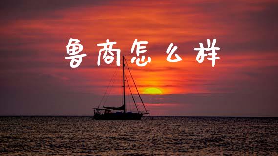 鲁商怎么样_https://wap.jnlaobingbanjia.com_股市行情_第1张