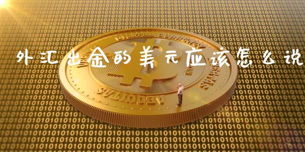外汇出金的美元应该怎么说_https://wap.jnlaobingbanjia.com_金融理财_第1张