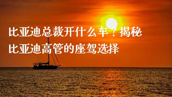 比亚迪总裁开什么车？揭秘比亚迪高管的座驾选择_https://wap.jnlaobingbanjia.com_财务管理_第1张