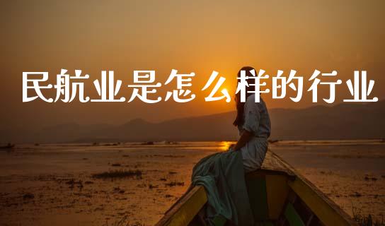 民航业是怎么样的行业_https://wap.jnlaobingbanjia.com_金融理财_第1张