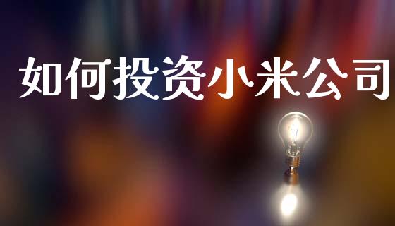 如何投资小米公司_股市行情_第1张_财经资讯_股市行情_财务管理_金融理财 如何投资小米公司_https://wap.jnlaobingbanjia.com_股市行情_第1张