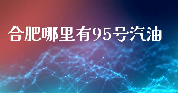 合肥哪里有95号汽油_https://wap.jnlaobingbanjia.com_金融理财_第1张