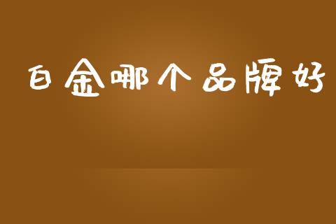 白金哪个品牌好_https://wap.jnlaobingbanjia.com_财经资讯_第1张