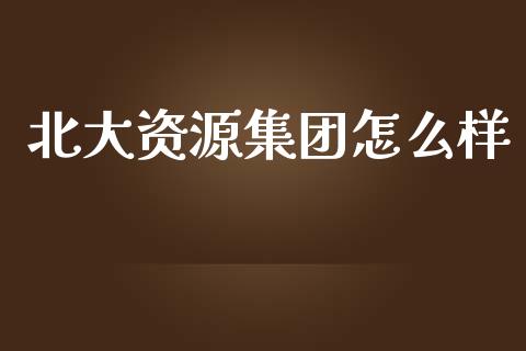 北大资源集团怎么样_https://wap.jnlaobingbanjia.com_金融理财_第1张