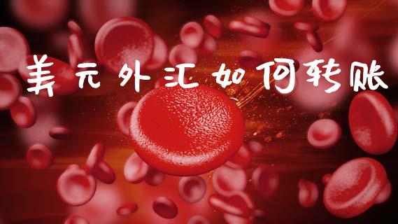 美元外汇如何转账_https://wap.jnlaobingbanjia.com_股市行情_第1张