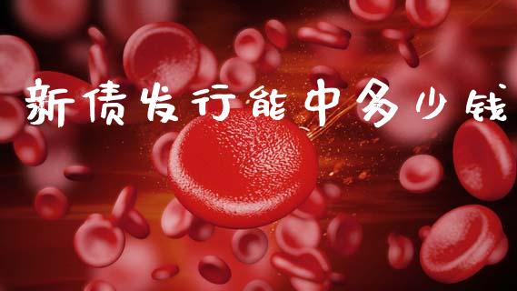 新债发行能中多少钱_https://wap.jnlaobingbanjia.com_证券公告_第1张