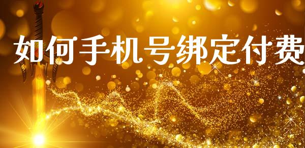 如何手机号绑定付费_https://wap.jnlaobingbanjia.com_金融理财_第1张