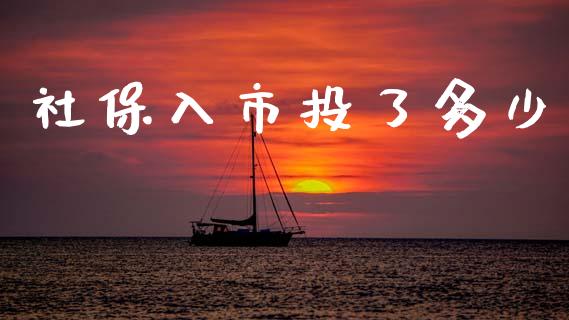 社保入市投了多少_https://wap.jnlaobingbanjia.com_财务管理_第1张