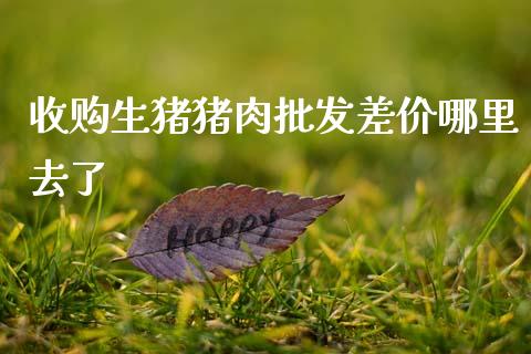 收购生猪猪肉批发差价哪里去了_https://wap.jnlaobingbanjia.com_财经资讯_第1张