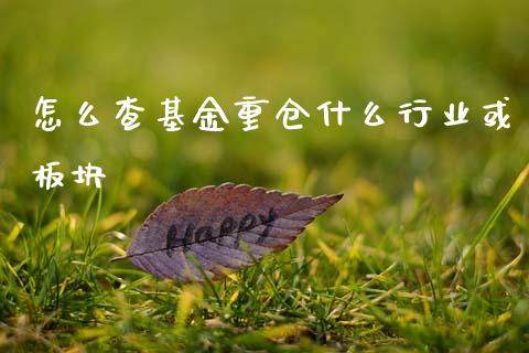 怎么查基金重仓什么行业或板块_金融理财_第1张_财经资讯_股市行情_财务管理_金融理财 怎么查基金重仓什么行业或板块_https://wap.jnlaobingbanjia.com_金融理财_第1张