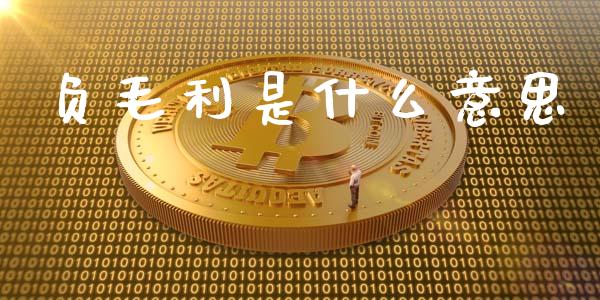 负毛利是什么意思_https://wap.jnlaobingbanjia.com_金融理财_第1张