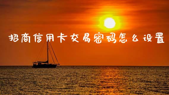 招商信用卡交易密码怎么设置_https://wap.jnlaobingbanjia.com_财务管理_第1张