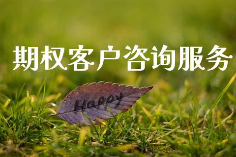 期权客户咨询服务_https://wap.jnlaobingbanjia.com_财务管理_第1张