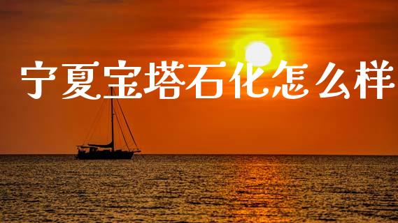 宁夏宝塔石化怎么样_https://wap.jnlaobingbanjia.com_股市行情_第1张