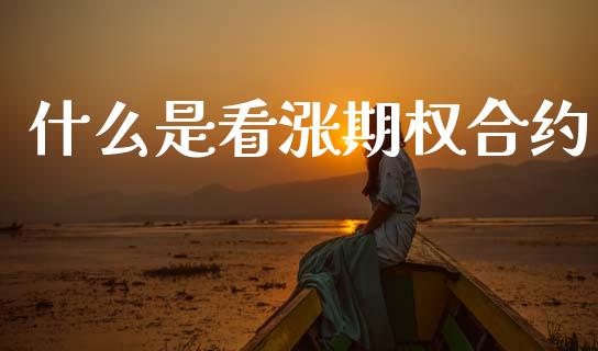 什么是看涨期权合约_https://wap.jnlaobingbanjia.com_基金分析_第1张
