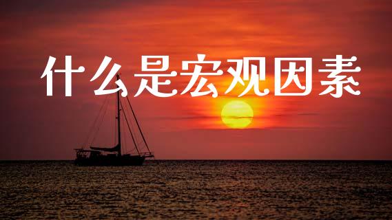 什么是宏观因素_https://wap.jnlaobingbanjia.com_股市行情_第1张
