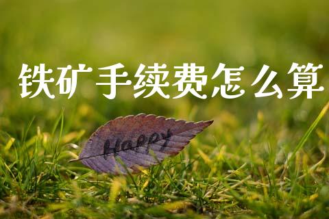 铁矿手续费怎么算_https://wap.jnlaobingbanjia.com_证券公告_第1张