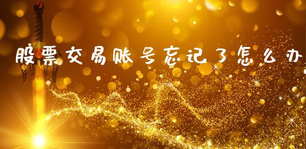 股票交易账号忘记了怎么办_https://wap.jnlaobingbanjia.com_证券公告_第1张
