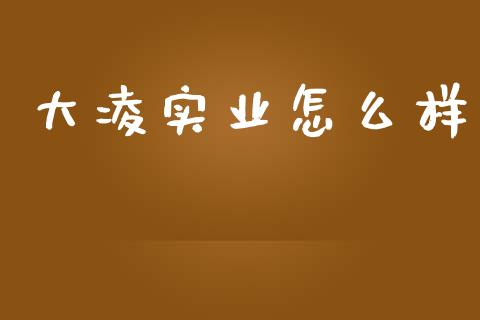 大凌实业怎么样_https://wap.jnlaobingbanjia.com_证券公告_第1张