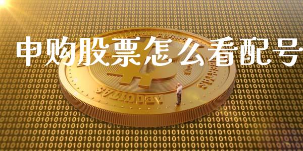 申购股票怎么看配号_https://wap.jnlaobingbanjia.com_财务管理_第1张