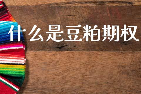 什么是豆粕期权_https://wap.jnlaobingbanjia.com_财经资讯_第1张