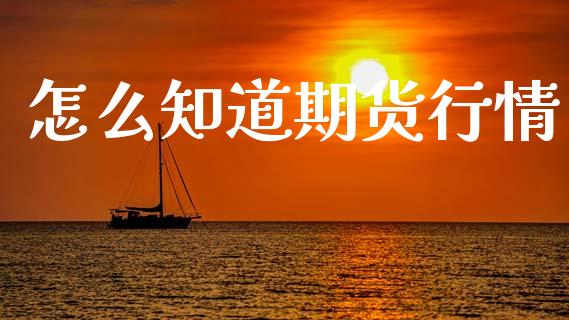 怎么知道期货行情_https://wap.jnlaobingbanjia.com_证券公告_第1张