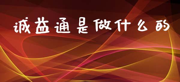 诚益通是做什么的_https://wap.jnlaobingbanjia.com_金融理财_第1张