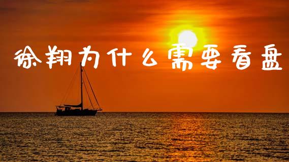 徐翔为什么需要看盘_https://wap.jnlaobingbanjia.com_基金分析_第1张