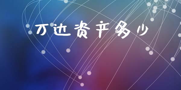 万达资产多少_https://wap.jnlaobingbanjia.com_财务管理_第1张