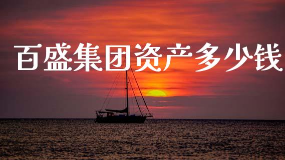 百盛集团资产多少钱_https://wap.jnlaobingbanjia.com_财务管理_第1张