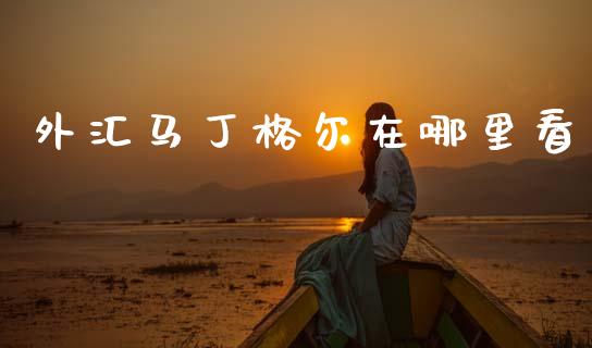 外汇马丁格尔在哪里看_https://wap.jnlaobingbanjia.com_财经资讯_第1张